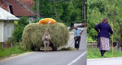 La agricultura rumana